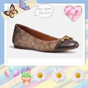 🔥🔥💫💞Lowest price ! new flats by Coach ❤️❤️